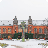 Study Masters in Denmark
