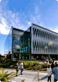 Cost to Study in New Zealand