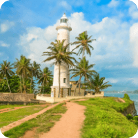 Study in Sri Lanka